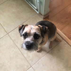 Meet your Posher, Gillian